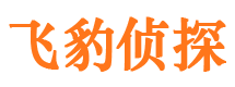 沐川私家调查公司